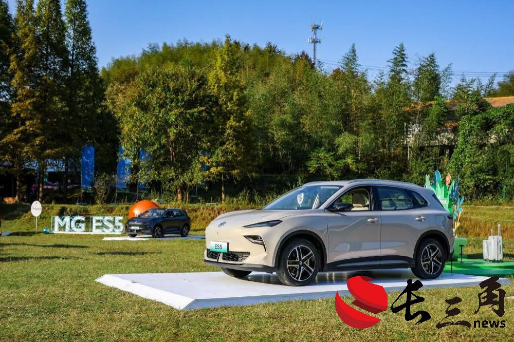 歐盟高筑“關(guān)稅圍墻” 中國(guó)車(chē)企多維度出海謀破局