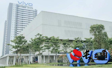 硬剛蘋果！vivo胡柏山：高端市場最大用戶來源是蘋果