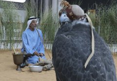 阿布扎比舉辦地區最大的狩獵、馬術和遺產保護