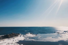 清明假日期間貴州短途踏春旅游升溫 所有景區“
