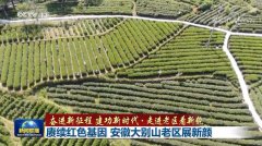 【奮進新征程 建功新時代·走進老區(qū)看新貌】賡