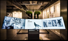 跨越發展，聚焦細分，七匹狼集團不斷提升自身